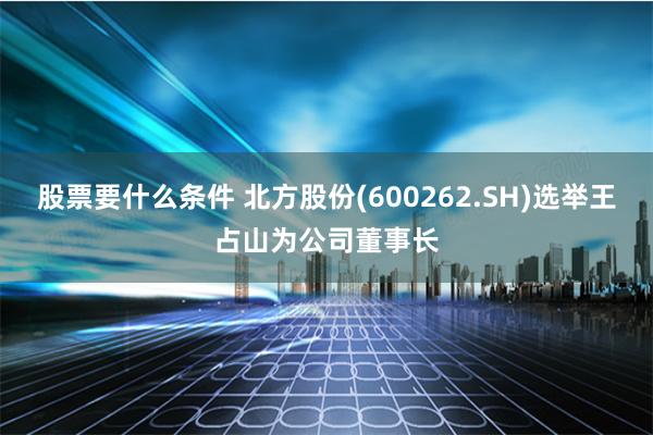 股票要什么条件 北方股份(600262.SH)选举王占山为公司董事长