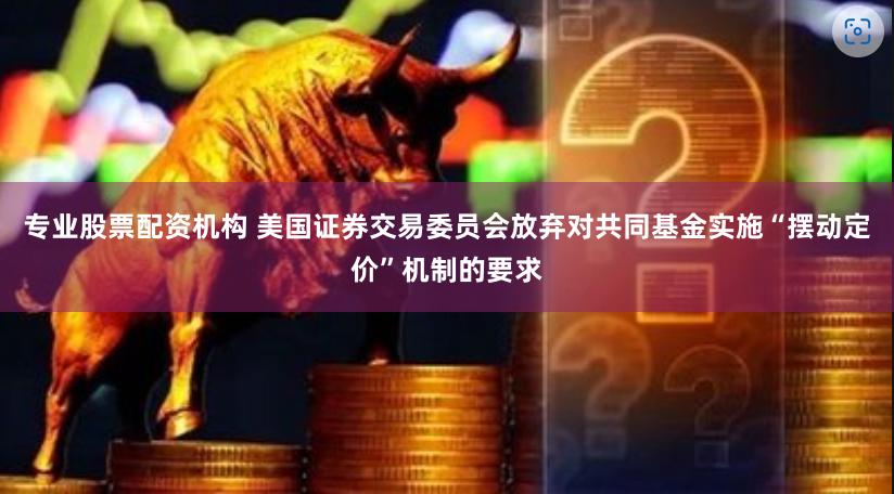 专业股票配资机构 美国证券交易委员会放弃对共同基金实施“摆动定价”机制的要求