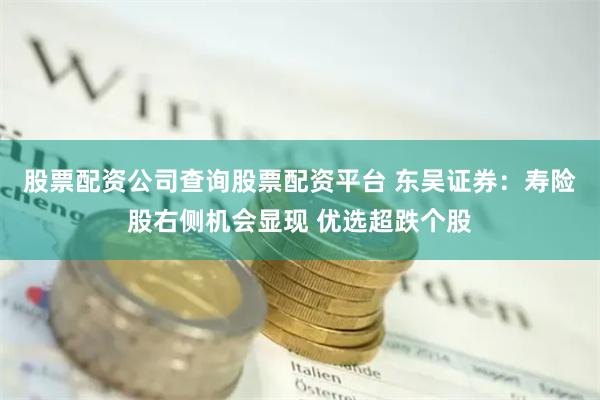 股票配资公司查询股票配资平台 东吴证券:寿险股右侧机会显现 优选超跌个股