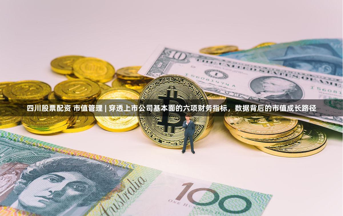 四川股票配资 市值管理 | 穿透上市公司基本面的六项财务指标,数据背后的市值成长路径